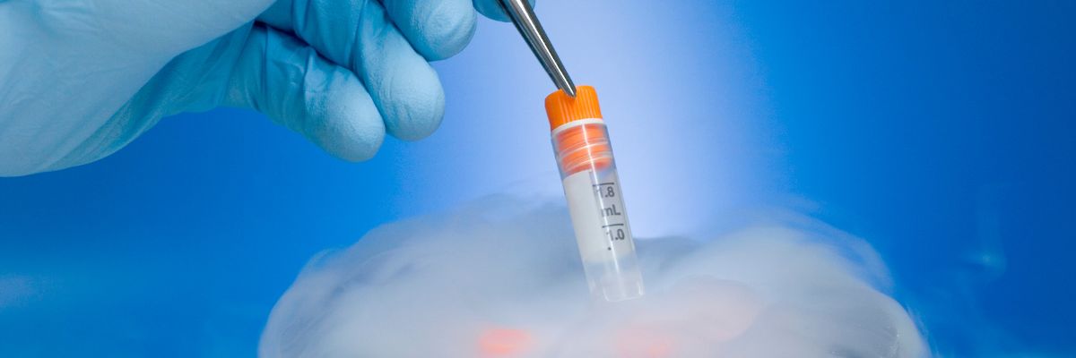 Congelamento de óvulos: A alternativa que pode preservar sua fertilidade! Congelamento de óvulos: A alternativa que pode preservar sua fertilidade!