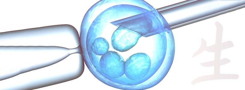 Fertilização In Vitro