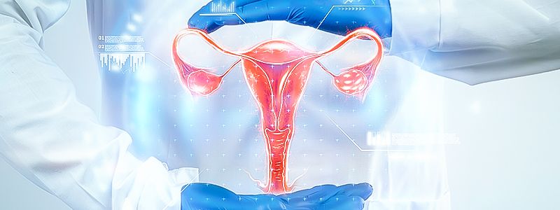 Obstetrícia